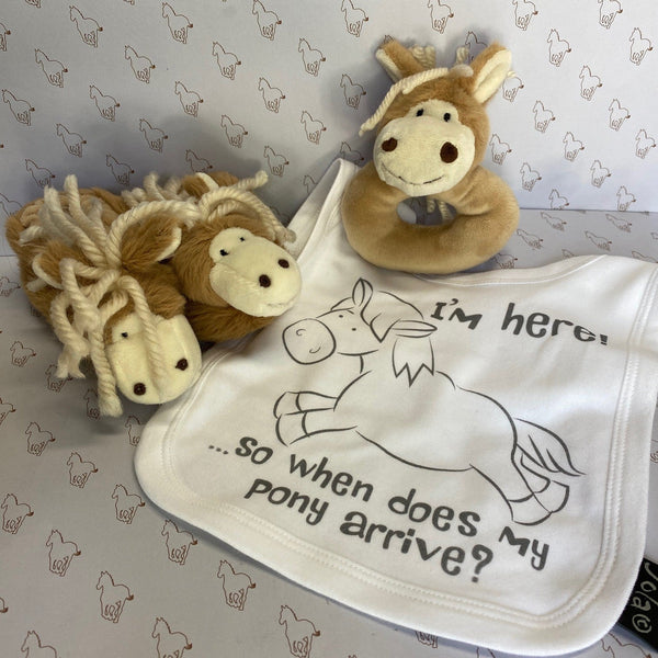 'Bouncing Baby' Themed Gift Box - Gallop Guru